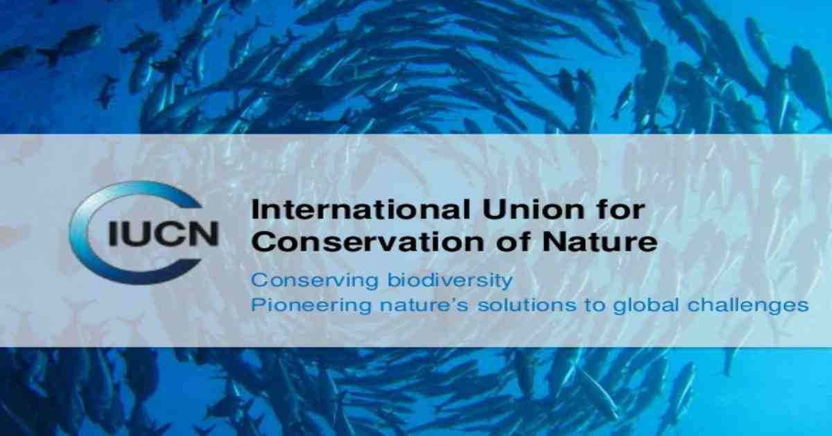 Energy & Power Magazine IUCN Standard to Boost Impact of Nature Based